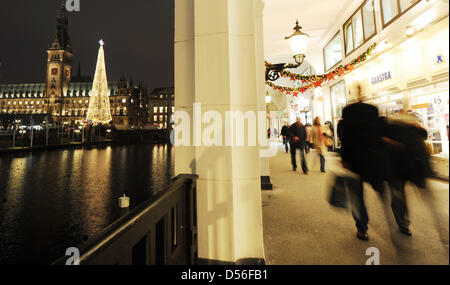 A Big Christmas Tree Stands On The Market In Front Of City Hall Hamburg A Big Christmas Tree Stands On The Market In Front Of City Hall Hamburg