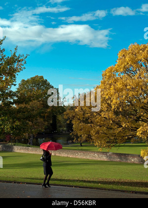 Lady Walking thro Castle Park, Colchester in Showery Weather, with Red Umbrella. Stock Photo