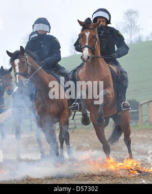Mounted policemen and their horses ride through a fire during a performance of the Saxonian police riding team in Grosserkmannsdorf, Germany, 12 April 2010. 21 policemen share 14 horses and two horses in training. The riding team takes over patrols in field and forestal areas, parks and river sides and inner-city areas. Photo: RALF HIRSCHBERGER Stock Photo