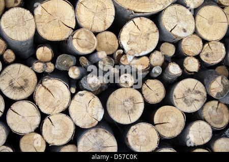 Pile of firewood – stacked wood logs of different sizes. Stock Photo