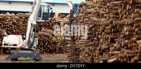 A timber transporter passes timber mill of Klausner Nordic Timber (KNT) in Wismar, Germany, 10 May 2010. accordinig to media reports by 'Ostseezeitung' with reference to Euwid, two KNT timber mills are to be sold to a Russian group. KNT would not comment on the report. Photo: JENS BUETTNER Stock Photo