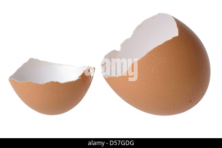 Egg shell on white background Stock Photo