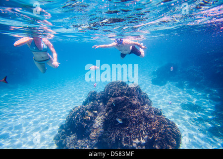 Picture taken in Roatan, Honduras Stock Photo