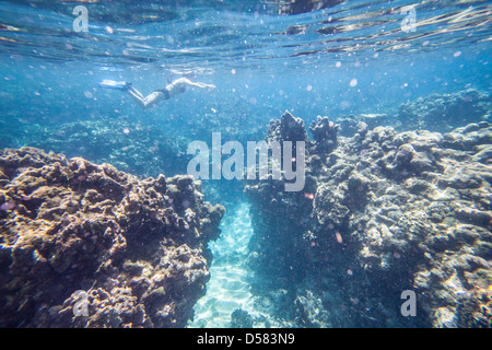 Picture taken in Roatan, Honduras Stock Photo