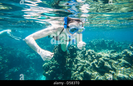 Picture taken in Roatan, Honduras Stock Photo