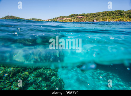 Picture taken in Roatan, Honduras Stock Photo