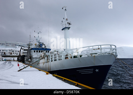 stormfuglen trawler berthed in Honningsvag harbour finnmark norway europe Stock Photo