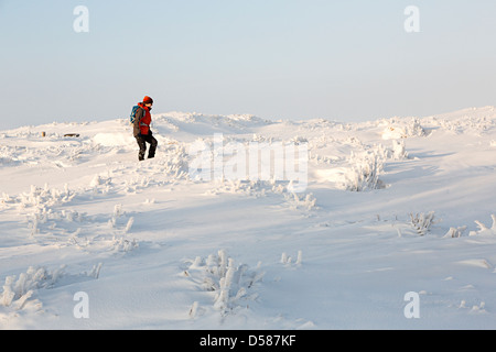 Woman walking in snow on Blorenge mountain, Wales, UK Stock Photo