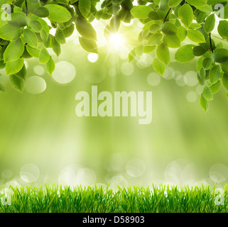 abstract art natural spring green background Stock Photo - Alamy