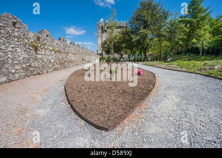 Picture taken in Ireland, Europe Stock Photo