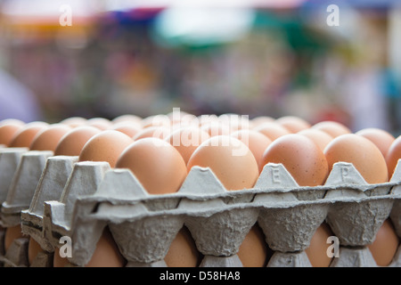 Trays of Chicken Eggs with Bokeh Background Stock Photo
