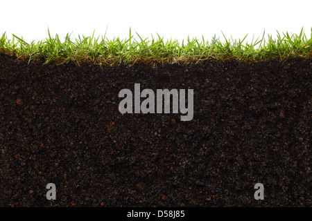 cross section of grass and soil against white background Stock Photo ...