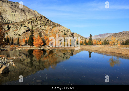 Autumn landscape in Xinjiang China. Stock Photo