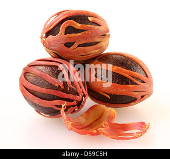 THREE NUTMEG WITH MACE Stock Photo