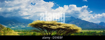 Tropical landscape of south India with tree in front, mountains and cloudy sky. Sunny day, Kerala, India. Three images panorama Stock Photo