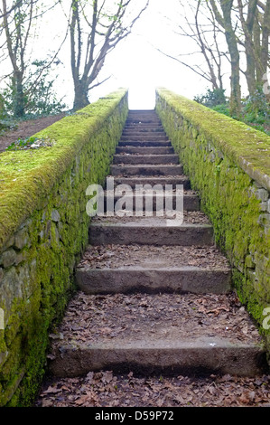 Stone steps Stock Photo