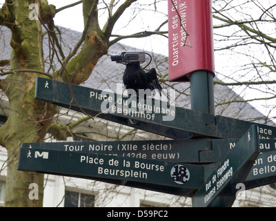 Tourism signpost with funny cctv camera disguised as a bird in the city centre of Brussels, Belgium Stock Photo