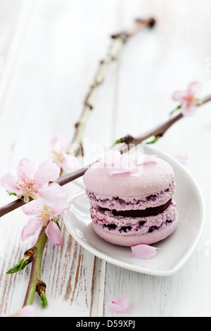 French macaroons in pink, decorated with cherry blossom Stock Photo