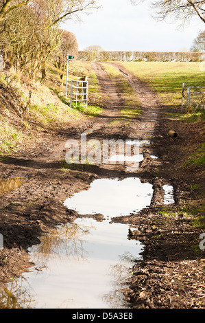 Waterlogged Public Footpath and Right of Way in Countryside near Hassall Green Cheshire England United Kingdom UK Stock Photo