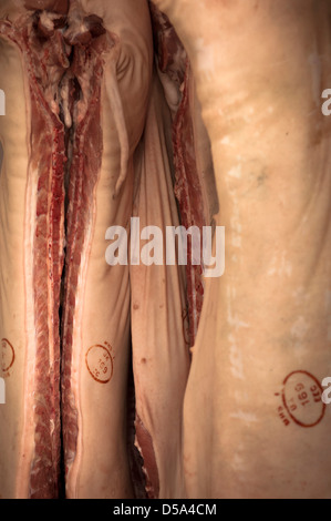 Close up pig Carcasses hanging in Butchers delivery van Stock Photo