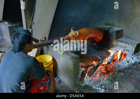 Asia, Indonesia, Bali, Central region, Ubud, pig on the spit said babi celik, Balinese specialty Stock Photo