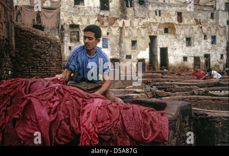 Tanner working on red hides in Fes el Bali Stock Photo