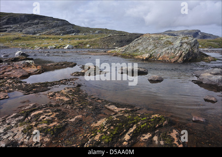 Hardangervidda in summer time, colored river Stock Photo