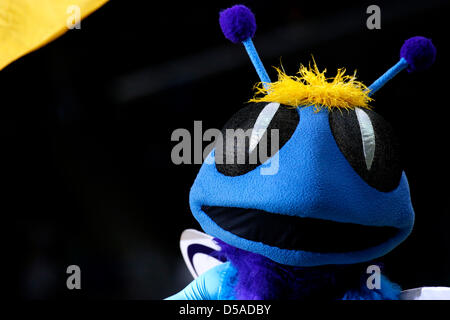 March 25, 2013 - New Orleans, Louisiana, United States of America - March 26, 2013: The New Orleans Hornets mascot Hugo, is seen during the NBA basketball game between the New Orleans Hornets and the Denver Nuggets at the New Orleans Arena in New Orleans, LA. Stock Photo