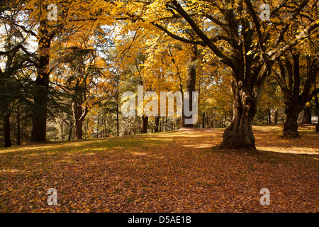 A late autumn afternoon in Daylesford, Victoria, Australia Stock Photo