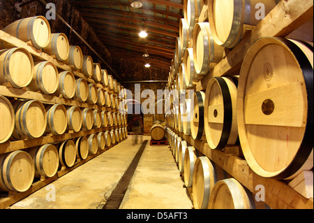 Wine barrels are stacked on a cellar on a vineyard in the island of Mallorca Stock Photo