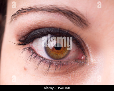 Close up of green and brown female eye with make up on Stock Photo