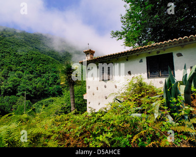 Garajonay National Park, La Gomera, Canary Islands, Spain Stock Photo