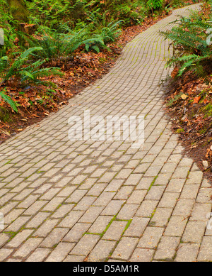 Winding brick path through a fern garden Stock Photo
