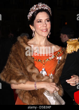 Crown Princess Mary arrives for the traditional New Year's reception at Amalienburg Castle in Copenhagen, Denmark, 01 January 2010. Amalienburg Castle is the winter residence of the Danish Royal Family. Photo: Albert Nieboer (NETHERLANDS OUT)