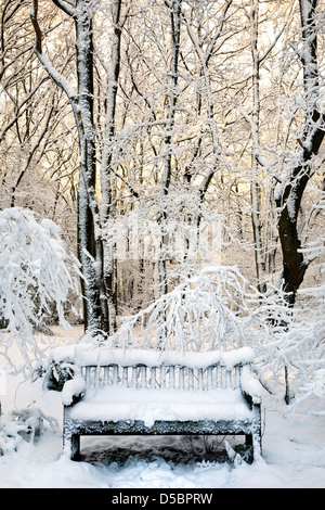 Chilling view of snow-covered trees in the countryside during winter ...