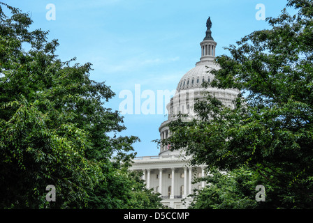 The United States Capitol seen through the trees on the Capitol grounds. Stock Photo