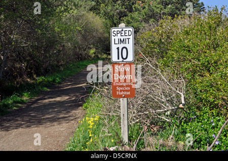 Speed Limit endangered species signs, Pacifica, California, USA Stock ...