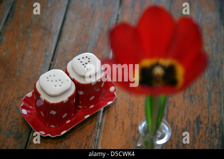 Berlin, Germany, salt and pepper shakers with a flower on a table Stock Photo