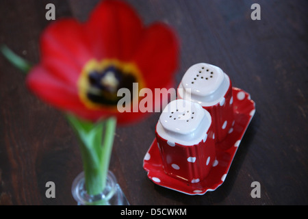 Berlin, Germany, salt and pepper shakers with a flower on a table Stock Photo