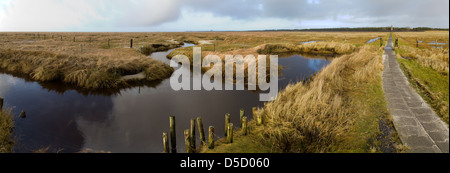 Sankt Peter-Ording, Germany, panorama over the salt marshes in the National Park Schleswig-Holstein Wadden Sea Stock Photo