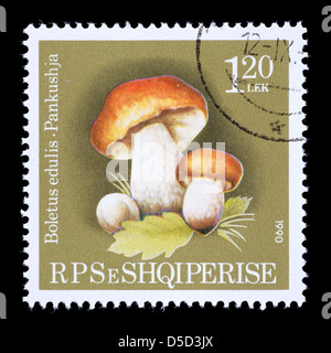 Postage stamp from Albania depicting bolete mushrooms (Boletus edulis) Stock Photo