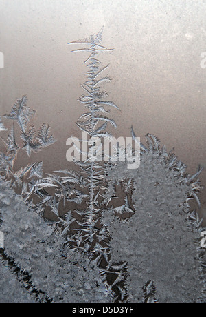 Berlin, Germany, frost patterns on a window pane Stock Photo