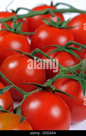 Cherry tomatoes on the vine against a white background Stock Photo - Alamy