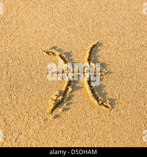 Zodiac sign Pisces, drawn on the facture beach sand. (zodiac signs series) Stock Photo