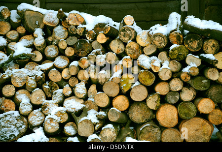 LOGS IN SNOW WOODPILE Stock Photo
