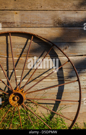 Old wheel at Scorpion Ranch on Santa Cruz Island, Channel Islands National Park, California, USA. Stock Photo