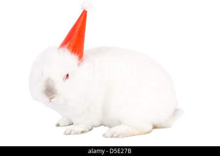 Festive adorable little white bunny in a colourful red party hat for celebrating a birthday , Easter, Christmas or New Year, isolated on white. Stock Photo