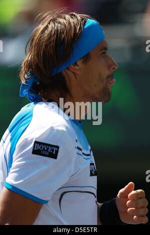 March 29, 2013 - Miami, Florida, U.S - David Ferrer of Spain contemplates a point. against Tommy Haas of Germany during their semi final match at the Sony Open at Crandon Park Tennis Center on March 29, 2013 in Key Biscayne, Florida. (Credit Image: © Joe Scarnici/ZUMAPRESS.com) Stock Photo