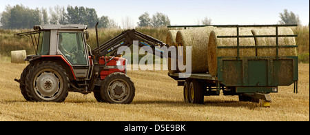 Farmer loading bales of straw on to trailer, UK Stock Photo