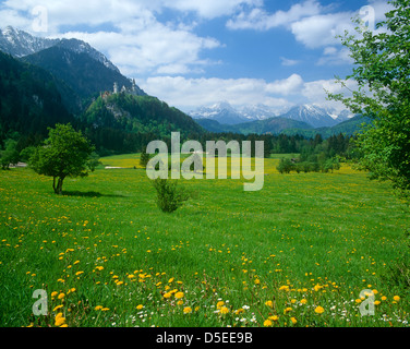 Bavarian landscape, near Fussen, Germany Stock Photo